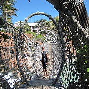 Picture 000001